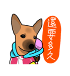 So cute dog (Mix)2（個別スタンプ：5）