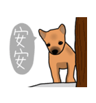 So cute dog (Mix)2（個別スタンプ：7）