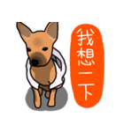 So cute dog (Mix)2（個別スタンプ：9）