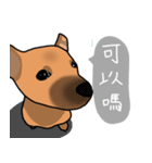 So cute dog (Mix)2（個別スタンプ：11）