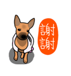 So cute dog (Mix)2（個別スタンプ：13）