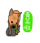 So cute dog (Mix)2（個別スタンプ：14）