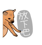 So cute dog (Mix)2（個別スタンプ：15）