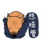 So cute dog (Mix)2（個別スタンプ：21）