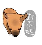 So cute dog (Mix)2（個別スタンプ：23）