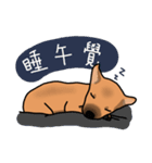 So cute dog (Mix)2（個別スタンプ：25）