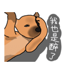 So cute dog (Mix)2（個別スタンプ：27）