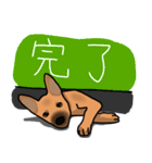 So cute dog (Mix)2（個別スタンプ：37）