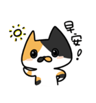 Cat Together2（個別スタンプ：1）
