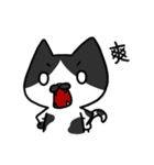 Cat Together2（個別スタンプ：4）