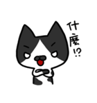 Cat Together2（個別スタンプ：26）
