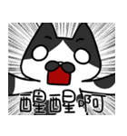Cat Together2（個別スタンプ：36）