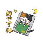 ねこ姉妹（個別スタンプ：6）