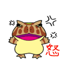 Frogs 1 day（個別スタンプ：10）