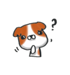 狆の感情豊かな日常生活。（個別スタンプ：1）