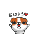 狆の感情豊かな日常生活。（個別スタンプ：11）