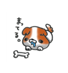 狆の感情豊かな日常生活。（個別スタンプ：24）