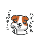 狆の感情豊かな日常生活。（個別スタンプ：28）