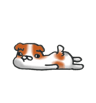 狆の感情豊かな日常生活。（個別スタンプ：35）