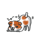狆の感情豊かな日常生活。（個別スタンプ：37）