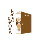 ひげアライグマ（個別スタンプ：9）