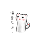 FerretFerret（個別スタンプ：1）