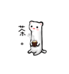 FerretFerret（個別スタンプ：21）