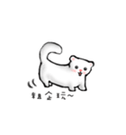 FerretFerret（個別スタンプ：40）