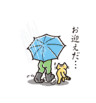 猫おぢさん（個別スタンプ：16）