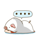 whisper pig buns（個別スタンプ：29）