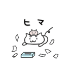 ねこ100%（個別スタンプ：24）