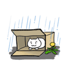 ねこ100%（個別スタンプ：34）