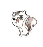 Lv.10 Squirrel GoGo（個別スタンプ：19）