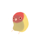 Pudding is a parrot（個別スタンプ：3）