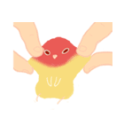Pudding is a parrot（個別スタンプ：6）