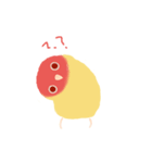 Pudding is a parrot（個別スタンプ：13）