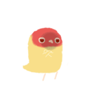 Pudding is a parrot（個別スタンプ：15）