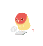 Pudding is a parrot（個別スタンプ：18）