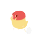 Pudding is a parrot（個別スタンプ：28）