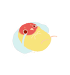 Pudding is a parrot（個別スタンプ：31）