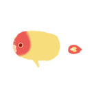 Pudding is a parrot（個別スタンプ：35）