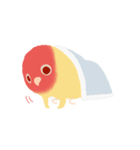 Pudding is a parrot（個別スタンプ：37）