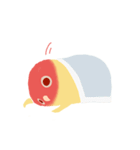 Pudding is a parrot（個別スタンプ：38）