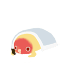 Pudding is a parrot（個別スタンプ：40）