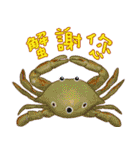 海の大きなパーティー（個別スタンプ：28）