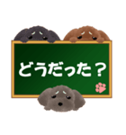 黒板トイプースタンプ3（個別スタンプ：13）