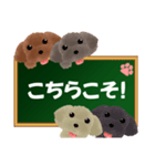 黒板トイプースタンプ3（個別スタンプ：39）