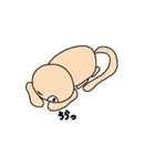 猫に近い猫の日常（個別スタンプ：15）
