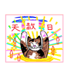 Cat Life Story 2（個別スタンプ：1）