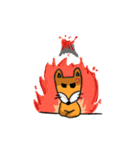 Geek Fox（個別スタンプ：7）